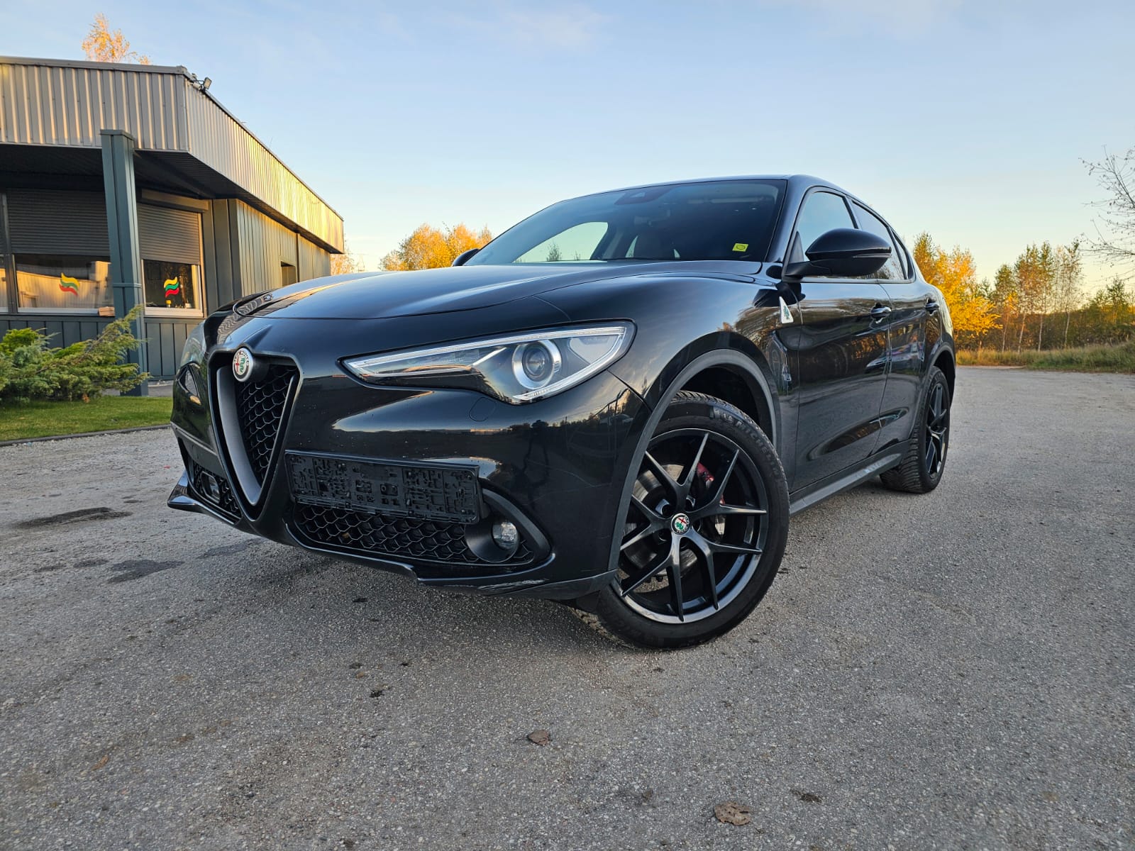 Alfa Romeo Stelvio, 2.1 l., visureigis / krosoveris, 2018-02/naudoti automobiliai/Roldana