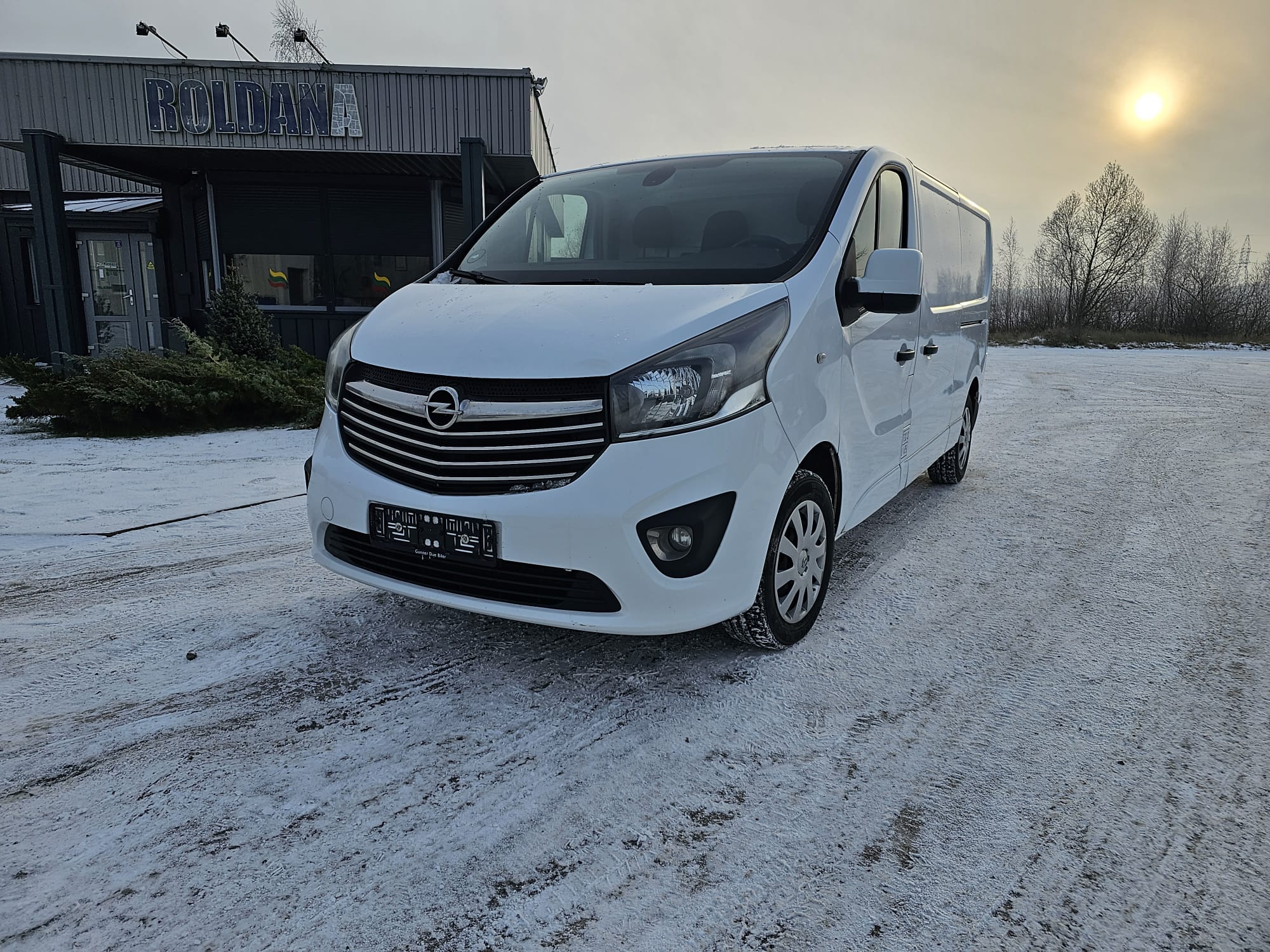 Opel Vivaro, 1.6 l., cargo van, 2016-04/naudoti automobiliai/Roldana